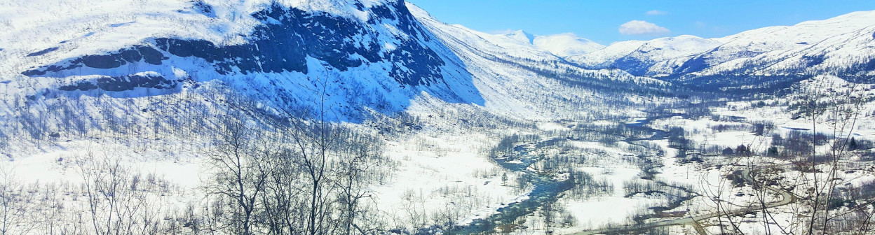 Europe's Epic Express Train Journeys Oslo to Bergen