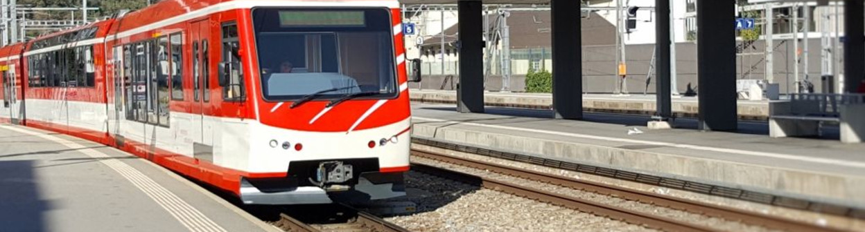 A MGB train arrives in Visp