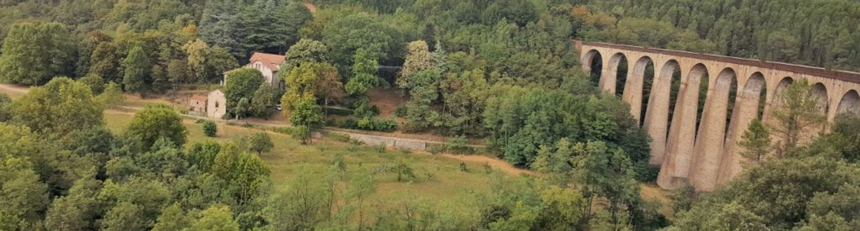 Le viaduc de Chamborigaud from a Nimes - Clermont Ferrand train