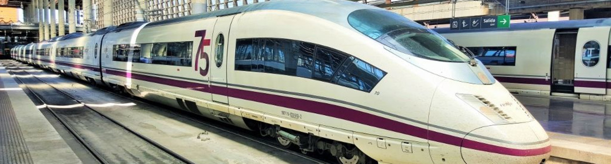 AVE (103) trains await departure from Madrid Atocha