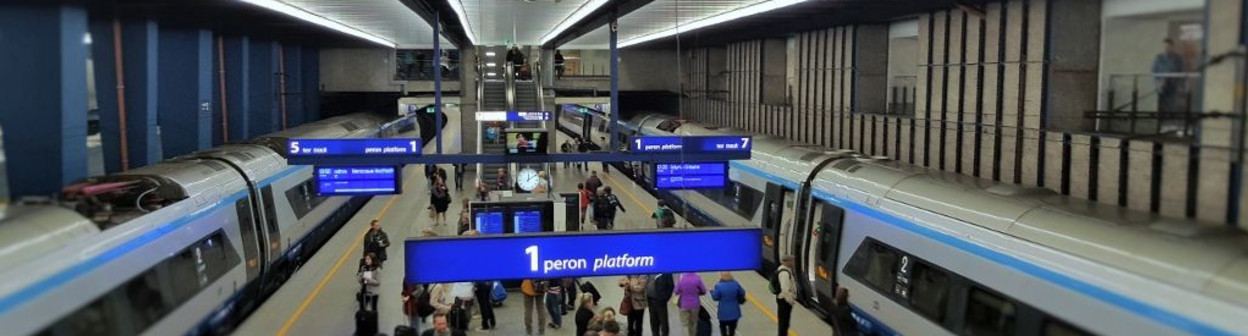 EIP trains on both sides of a peron/platform at Warszawa Centralna station