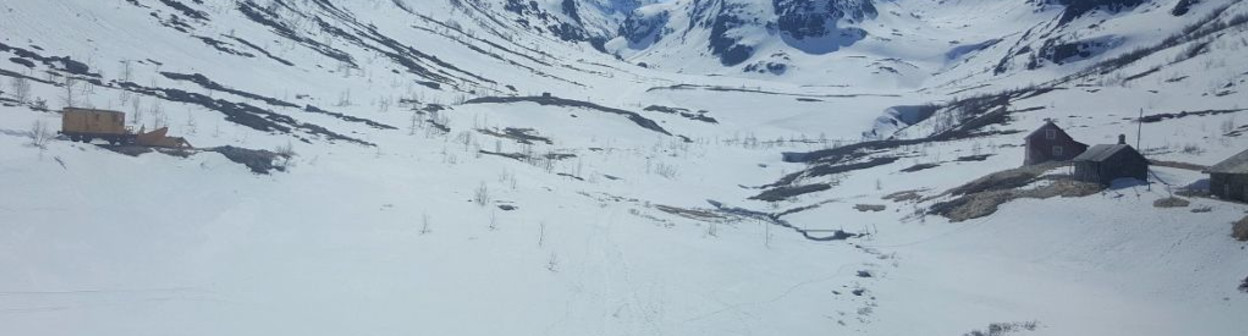 From the Oslo - Bergen train between Myrdal and Voss