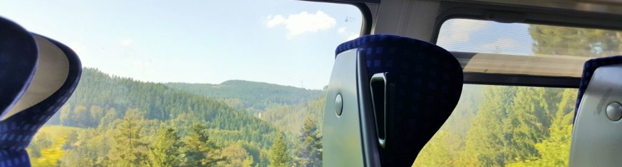 From a Regio train in The Black Forest