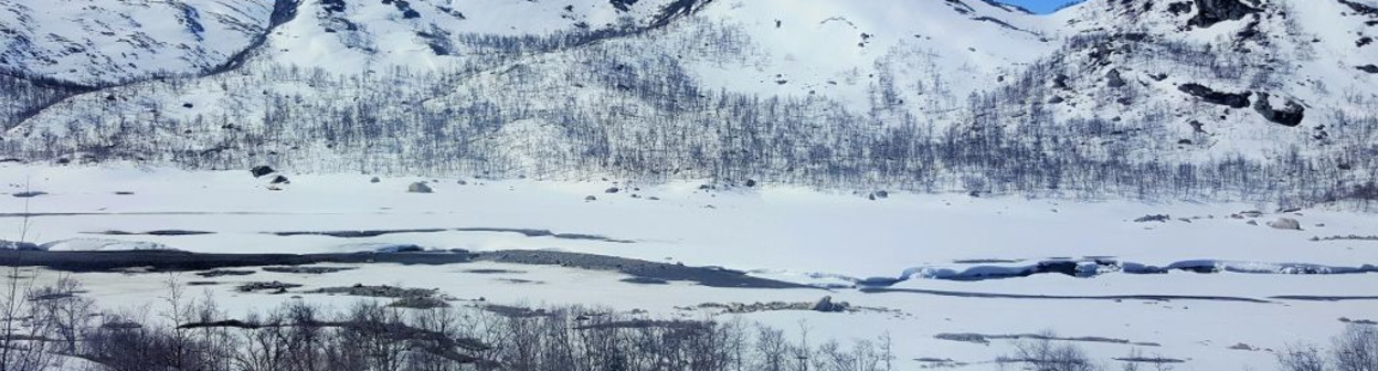 On the train journey between Oslo and Bergen