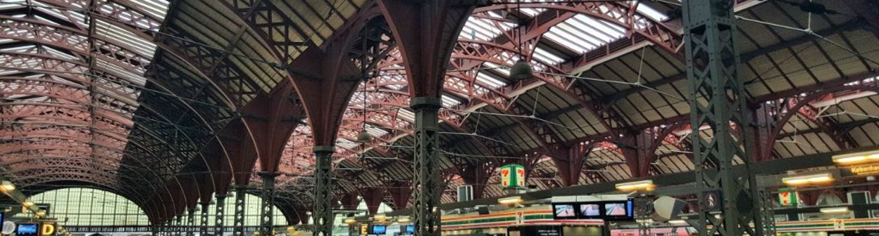 A view of the tracks/spor at København H station