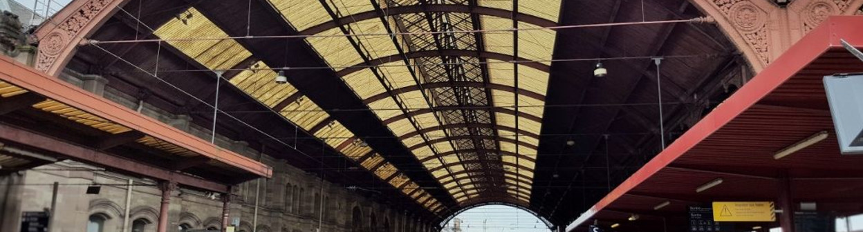 The beautiful roof at Gare Strasbourg