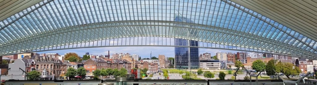 The view of Liège-Guillemins station from the car/taxi zone