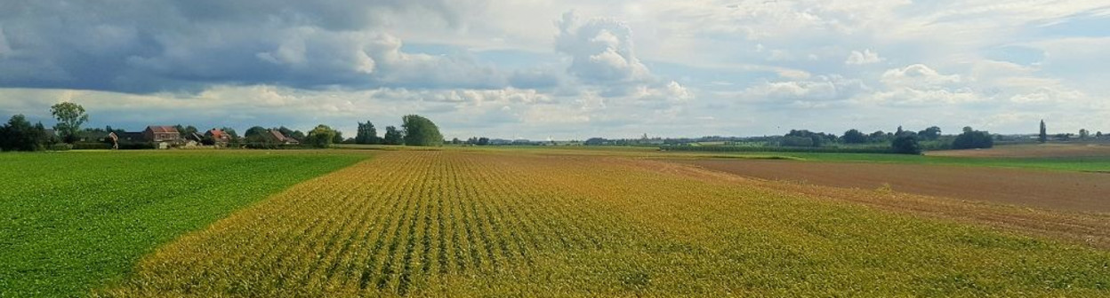 A typical view from the train between Bruxelles and Liege