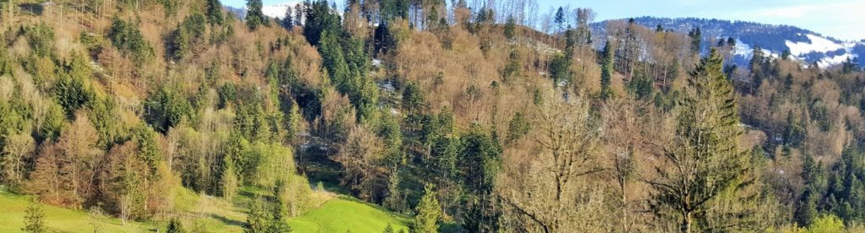 Heading to Lindau through the foothills of The Bavarian Alps