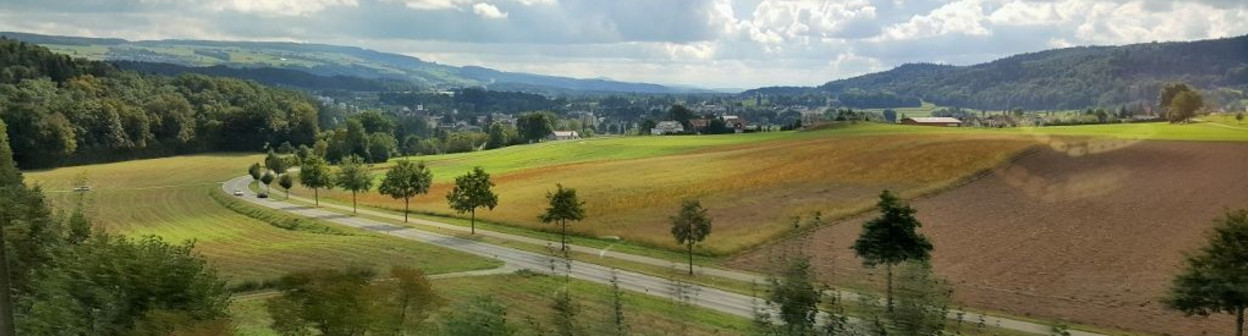 Between Olten and Zurich