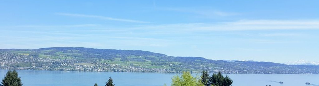 Looking down on to Lake Zurich