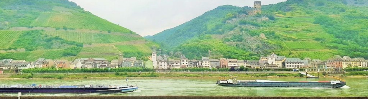 The Rhine Valley comes into view when the train reaches Bingen