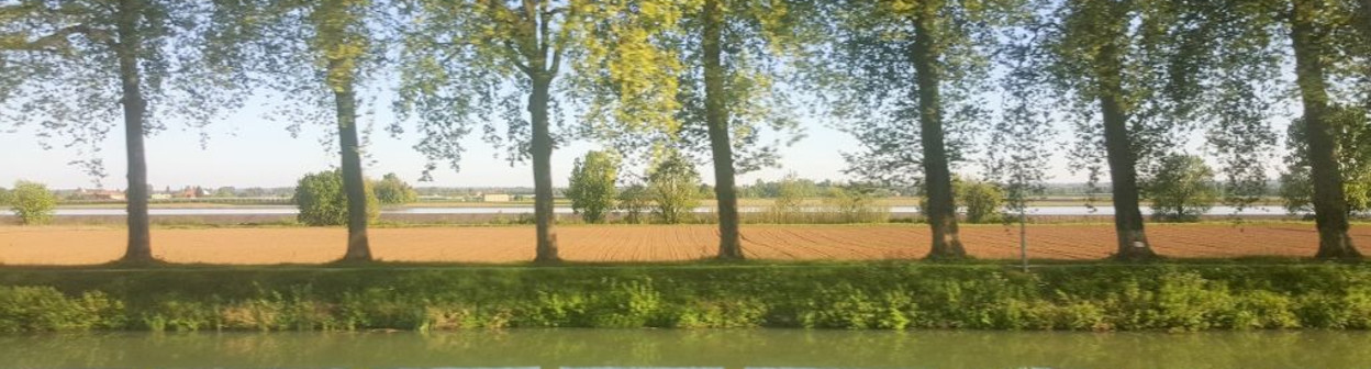Between Bordeaux and Toulouse#1