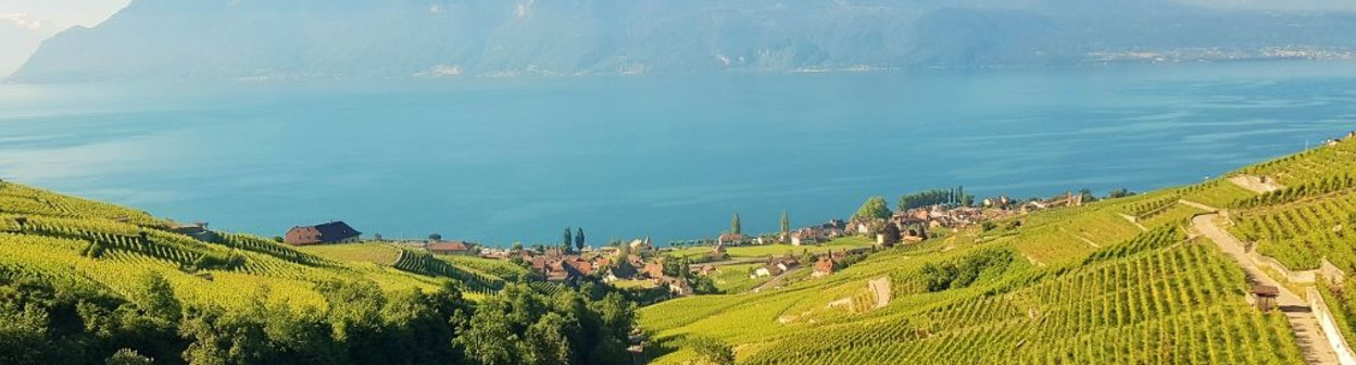 The stunning view of Lake Geneva from the right on trains on route IC 1
