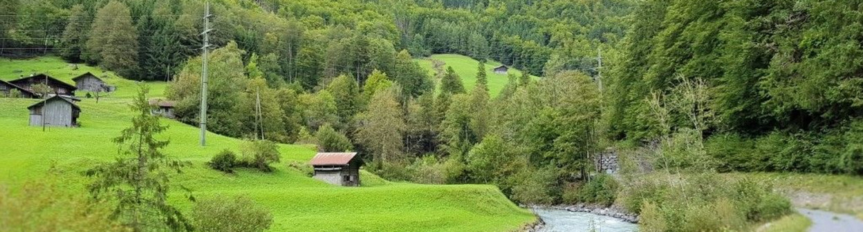 On the left between Zweilütschinen and Lutschental 