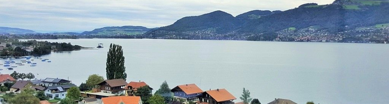 The view over Lake Thun between Thun and Spiez #1