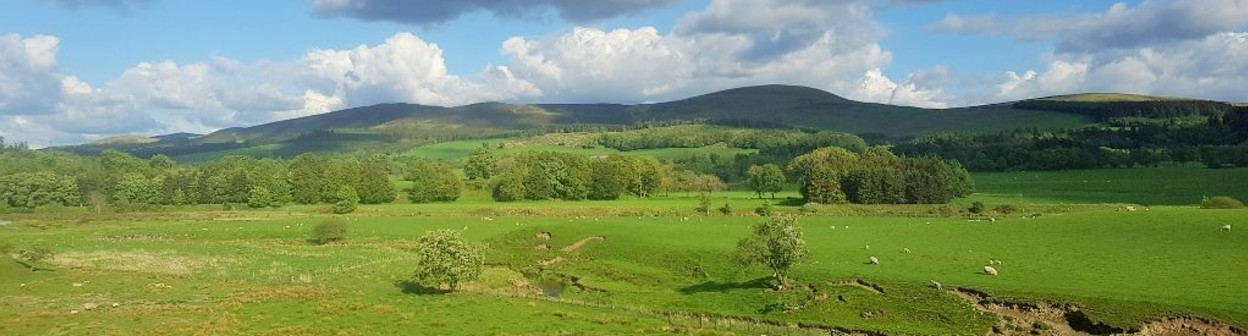 Heading south from Carstairs