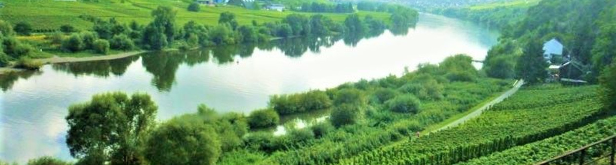 Through the Moselle river valley by train