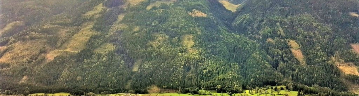 To the south of the Tauern Tunnel