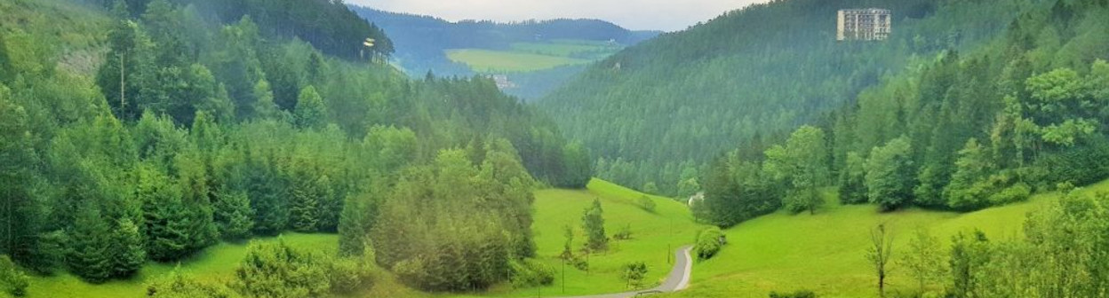 From one of the Semmering Railway viaducts