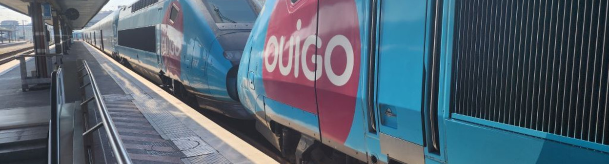 A Ouigo service awaits departure at the Gare De Lyon