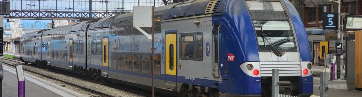 A TER train in Lille Flandres station