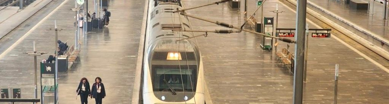 An Alvila train arrives at Zargoza-Delicias