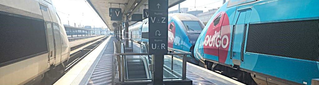 Ougio and InOui trains at the Gare de Lyon