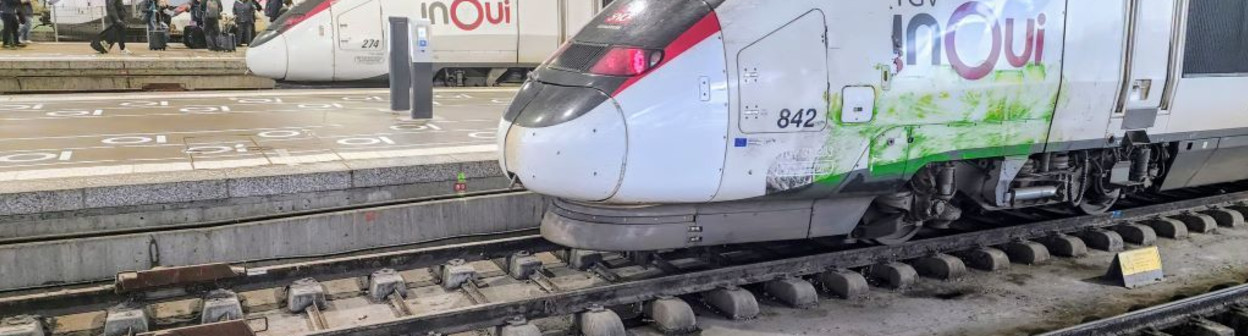 Boarding TGV trains at Gare Montparnasse