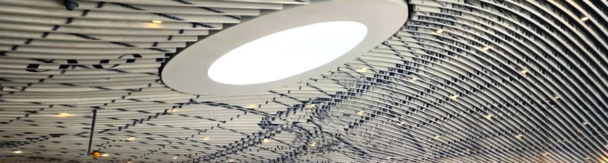 A guide to the station in Delft