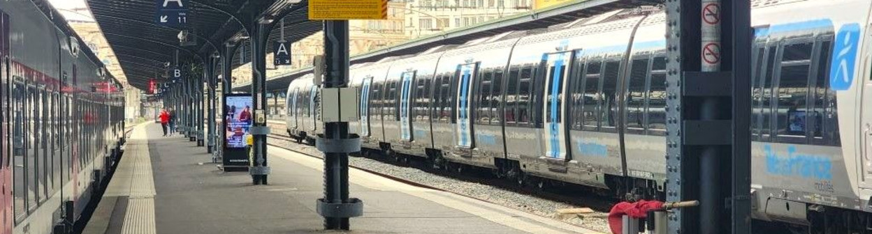 Trains await departure from Paris Est