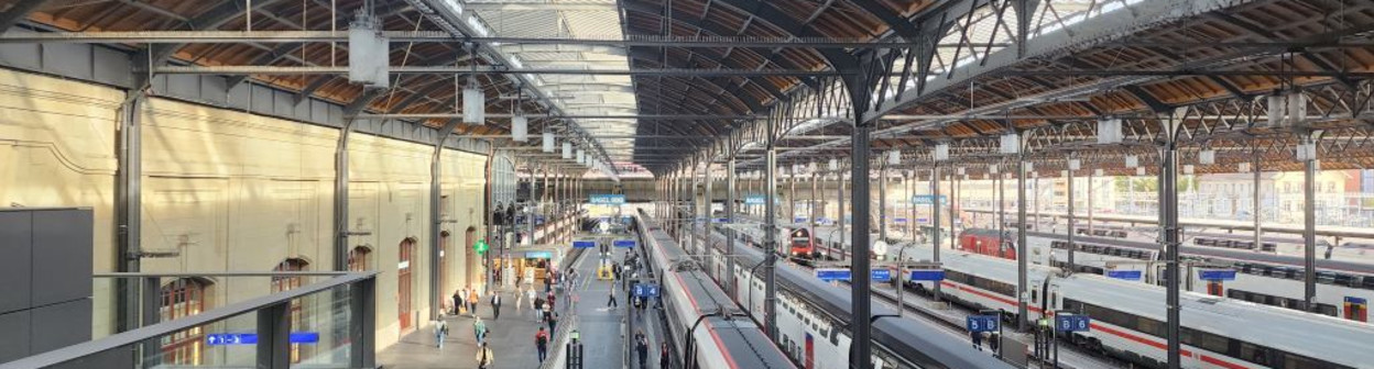 Looking down on the platforms in Basel SBB station