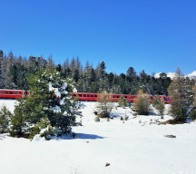 One of the older RhB trains heads towards St Moritz