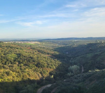 between Madrid and Cordoba