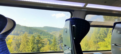 From a Regio train in The Black Forest