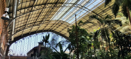 The indoor garden at Atocha