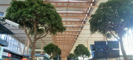 The trees do give Marseille St Charles station its wow factor