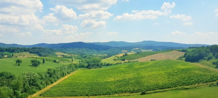 Heading south through Umbria on the Florence to Rome high speed line