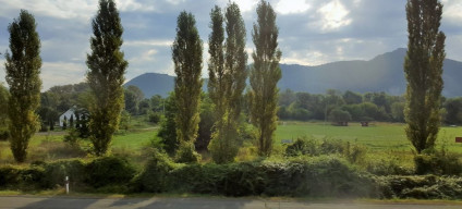 A view over The Danube near Vác