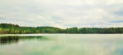 A typical lakeside view on the Stockholm to Goteborg train journey