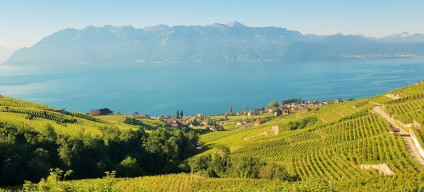 The stunning view of Lake Geneva from the right on trains on route IC 1