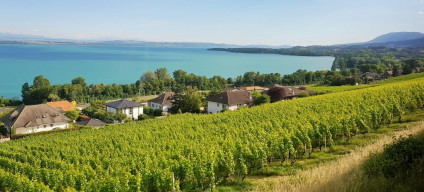 The views over Lake Biel can be seen on the right