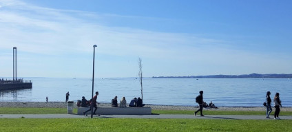 By the shore of the Bodensee between Bregenz and Lindau