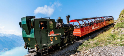 take the steam railway up Mt Rothorn
