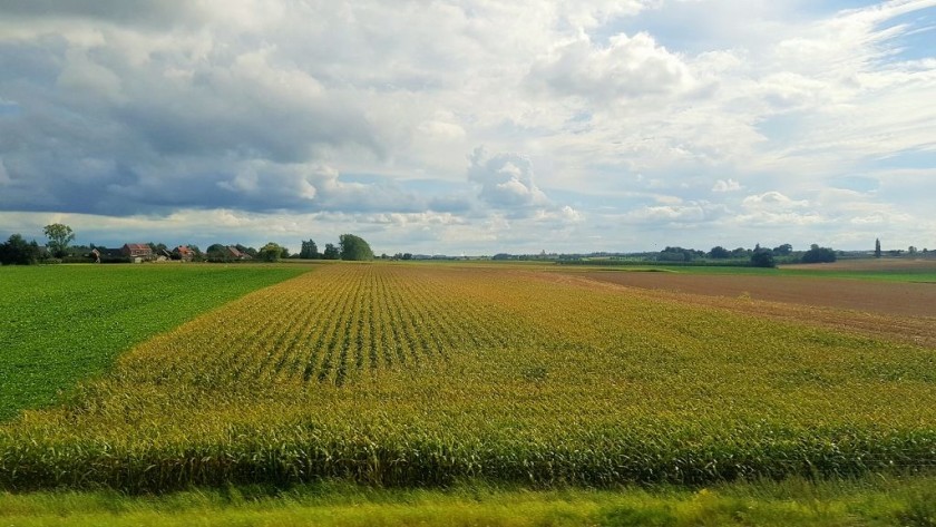 A typical view from the train between Bruxelles and Liege