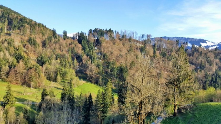 The train will pass through the foothills of the Bavarian Alps
