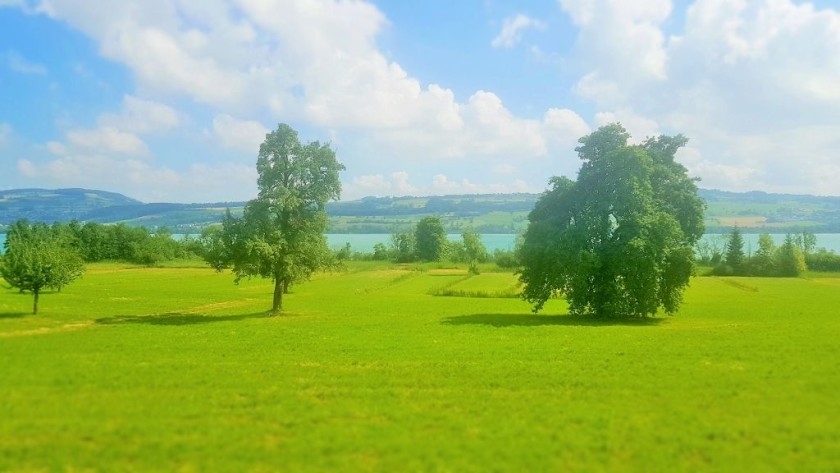 Travelling by the Sempachersee