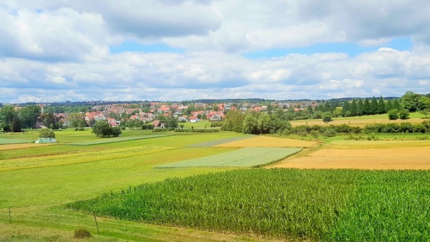A typical vista over the German countryside as the train heads north
