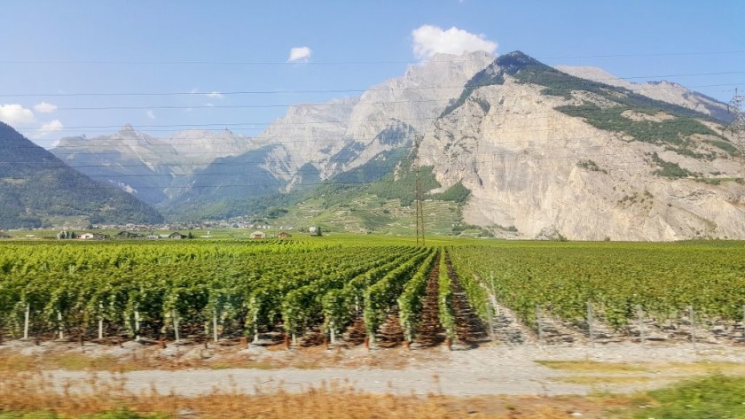 Passing through the vineyards north of Brig