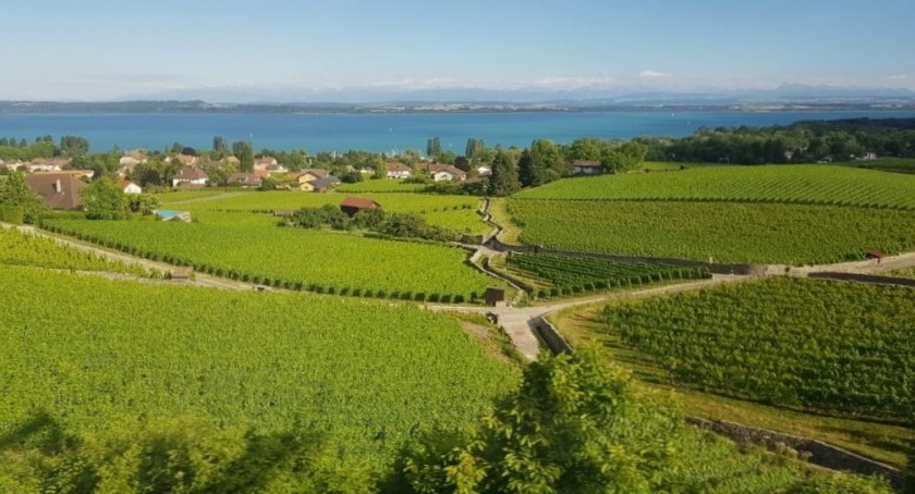 The stunning views over Lad de Neuchatel that can be seen on route IC 5